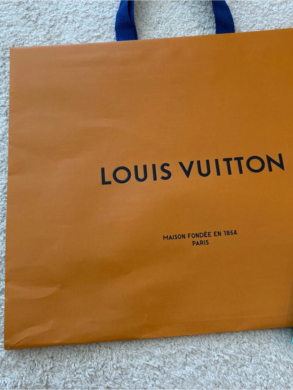 Louis Vuitton and Tiffany & Co. Shopping Gift Bags Set
